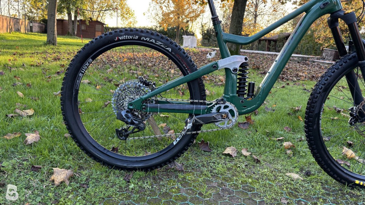 Scott ransom custom 2022