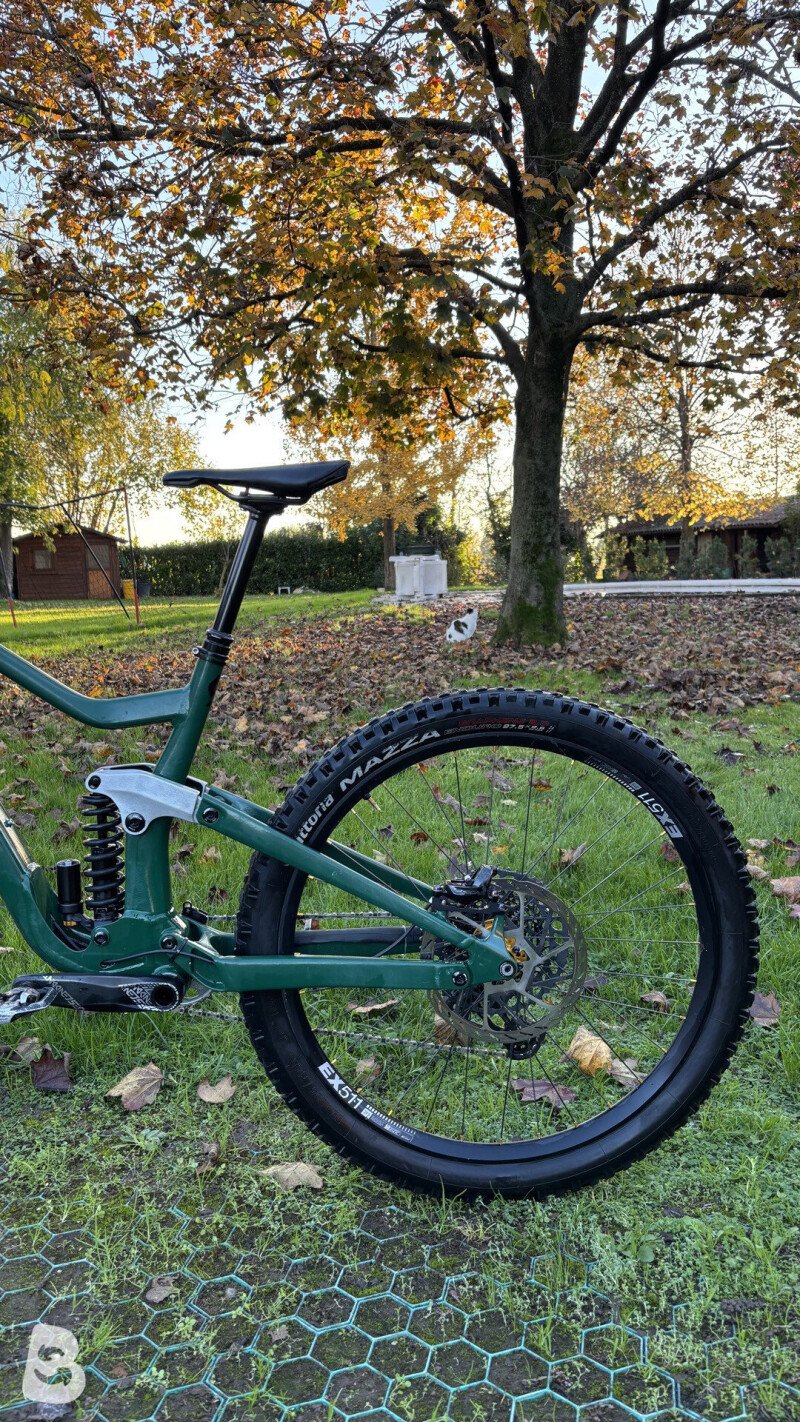 Scott ransom custom 2022