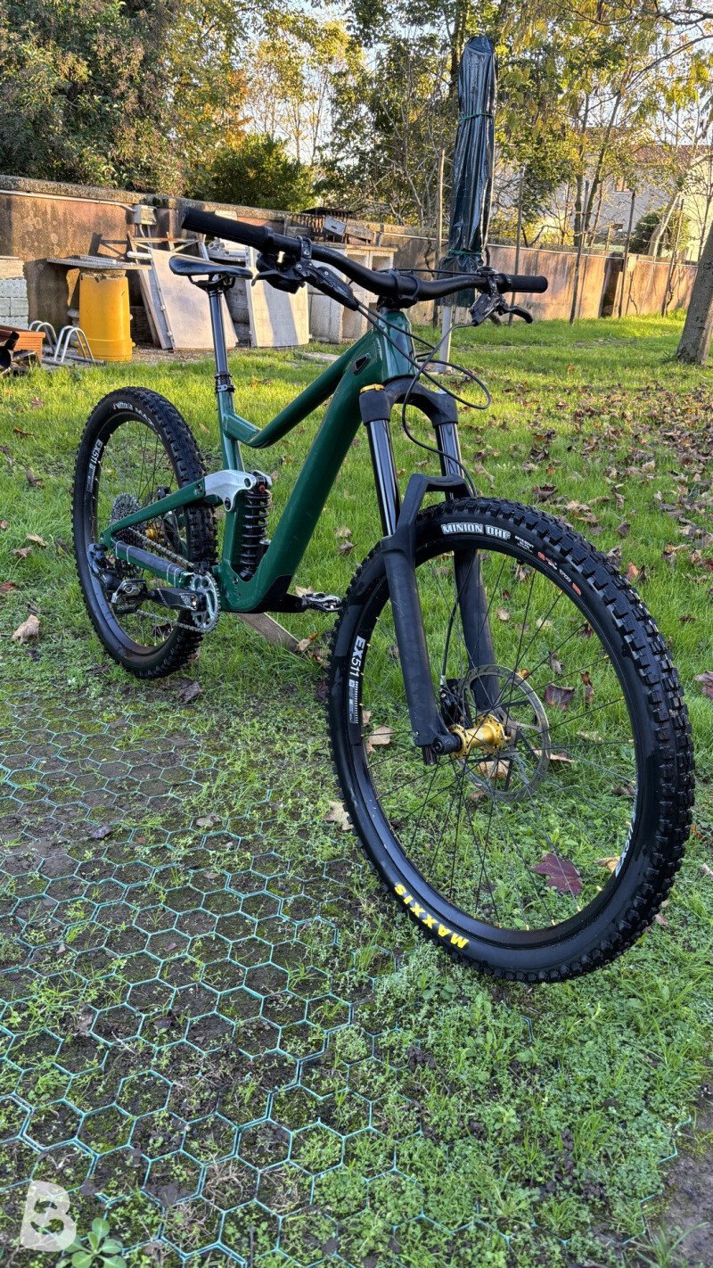 Scott ransom custom 2022