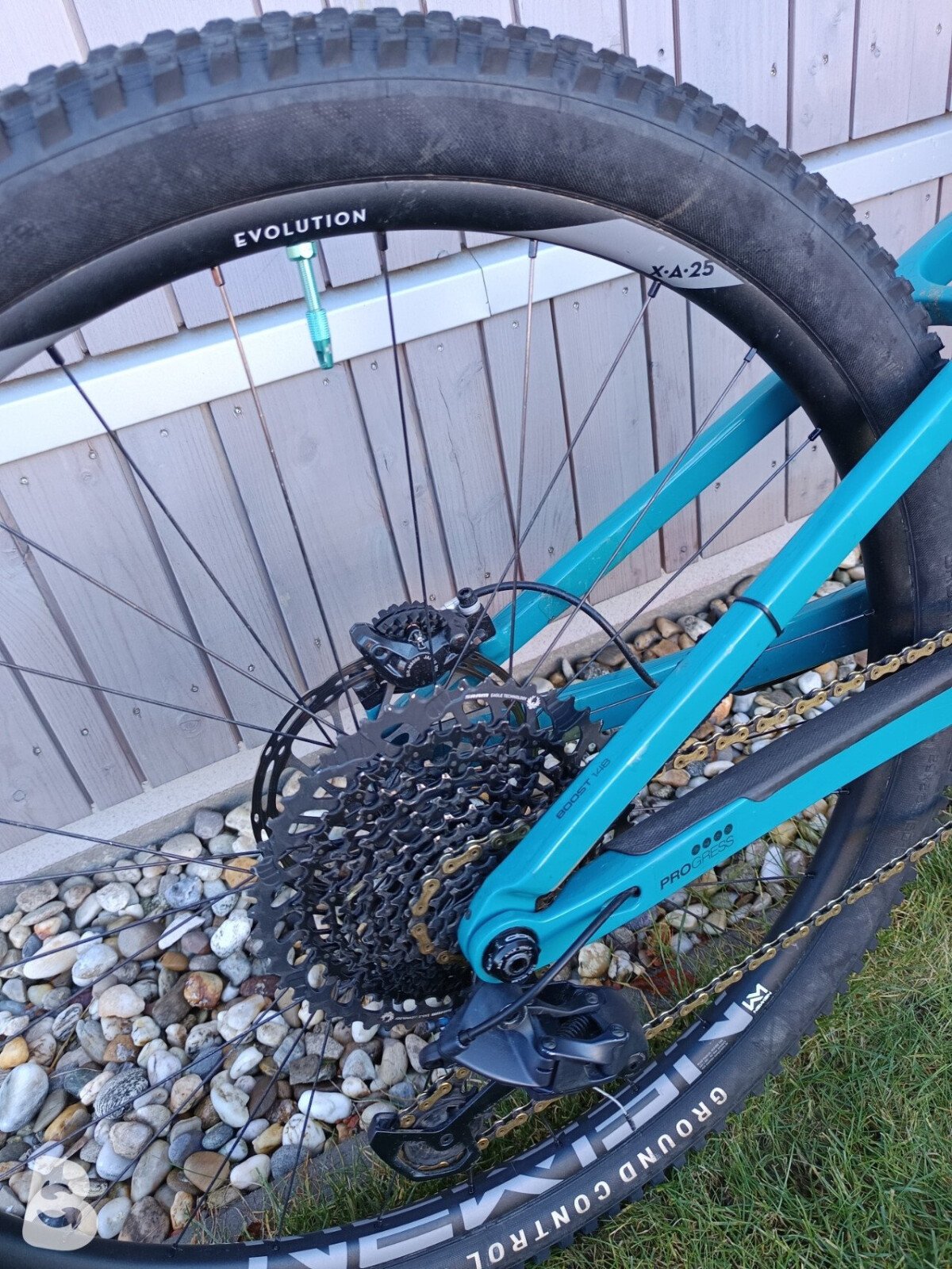 Trek Top Fuel 9.8 Custom 2020