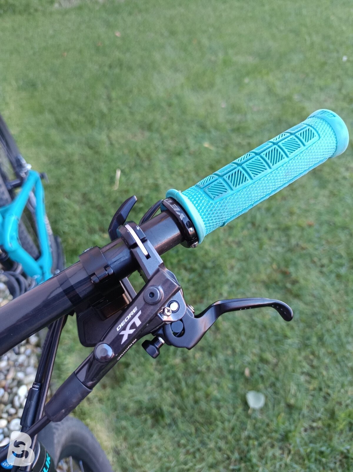 Trek Top Fuel 9.8 Custom 2020