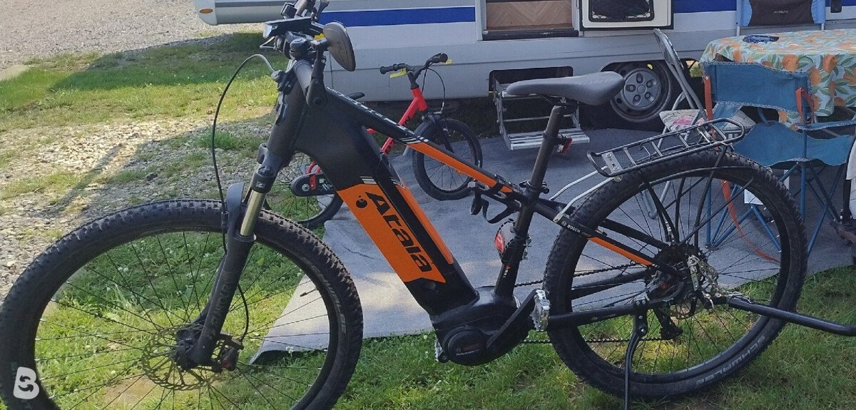 Atala B Cross 2022