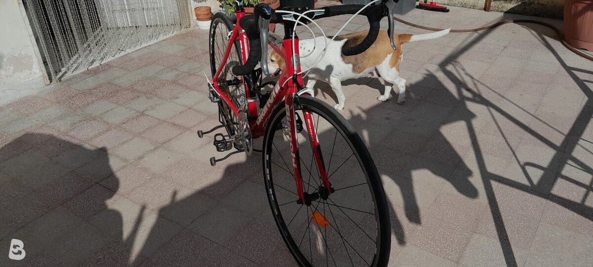 Bianchi Via Nirone Claris 2015