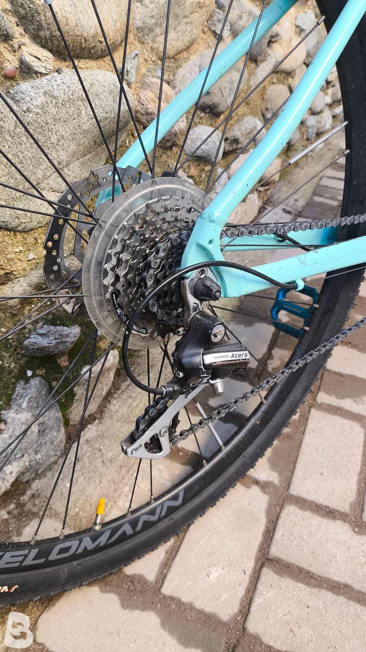 Bianchi C Sport 2022