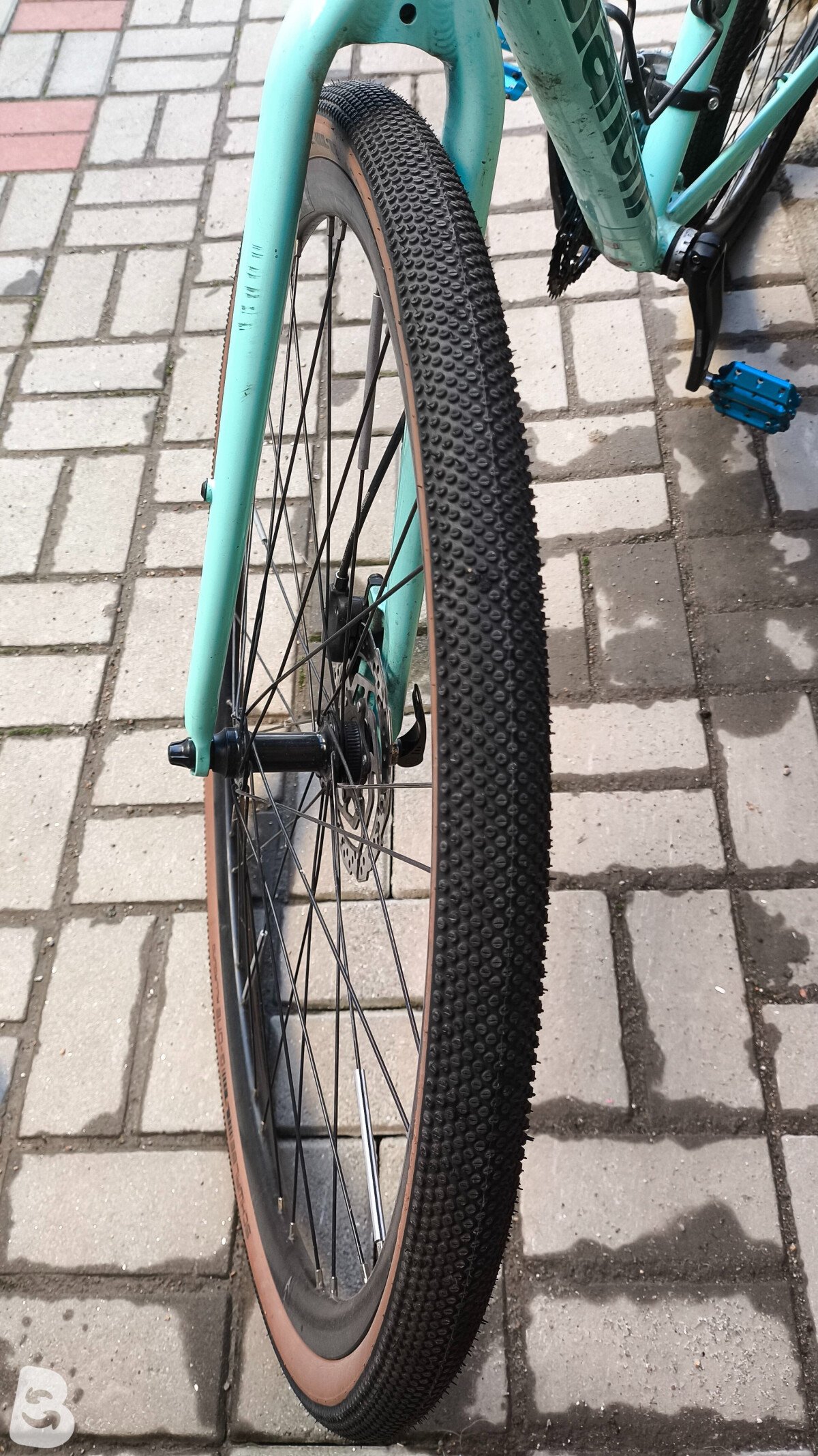 Bianchi C Sport 2022