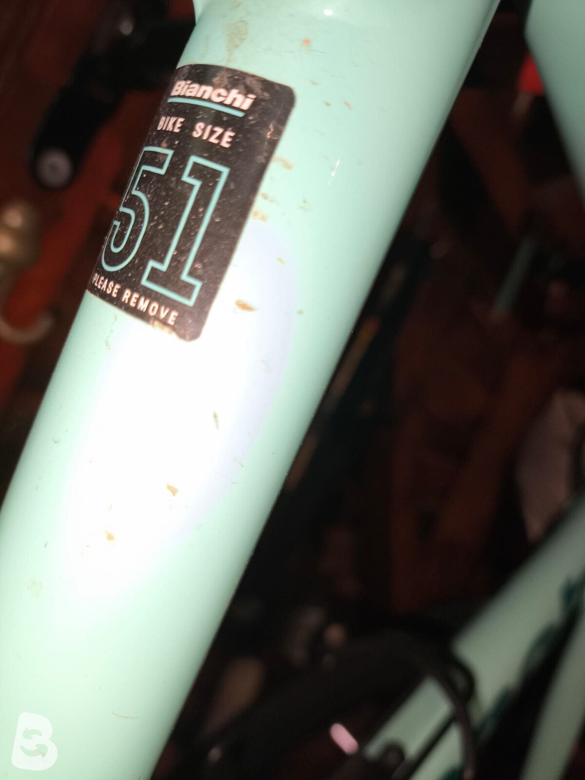 Bianchi C Sport 2022