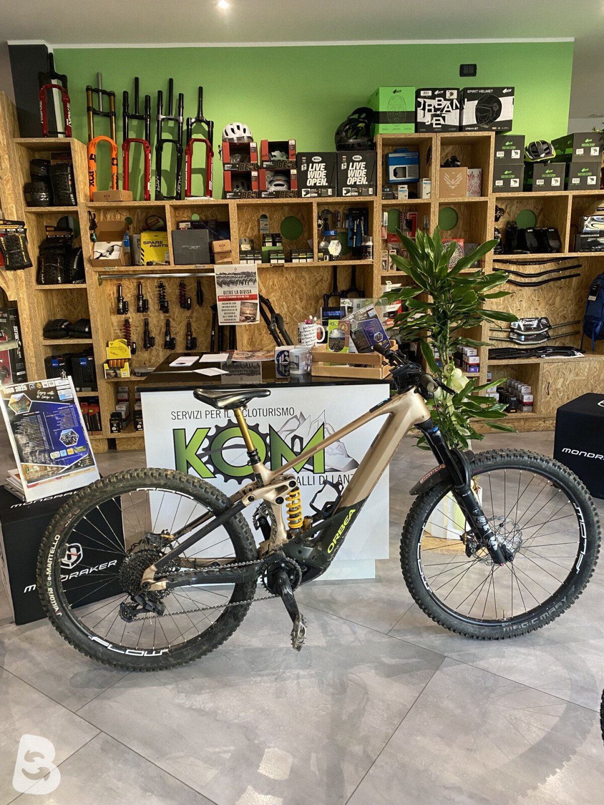 Orbea Wild 2024