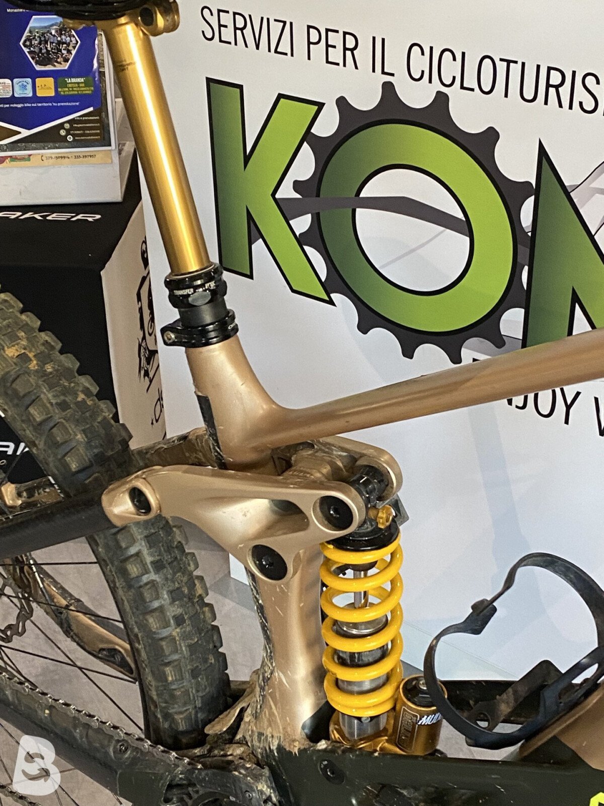 Orbea Wild 2024