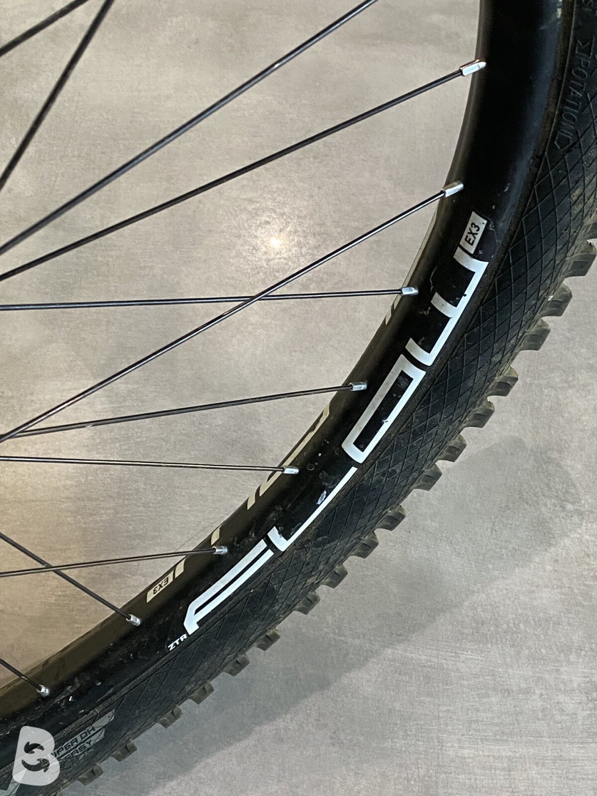 Orbea Wild 2024