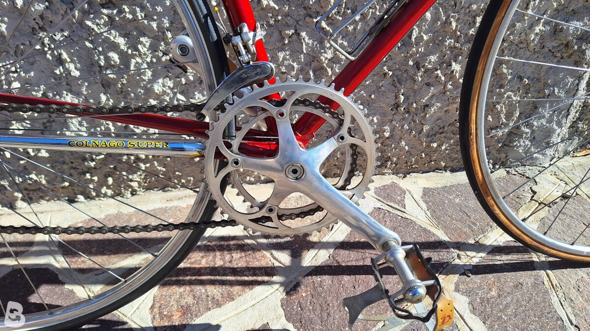 Colnago Super 1981