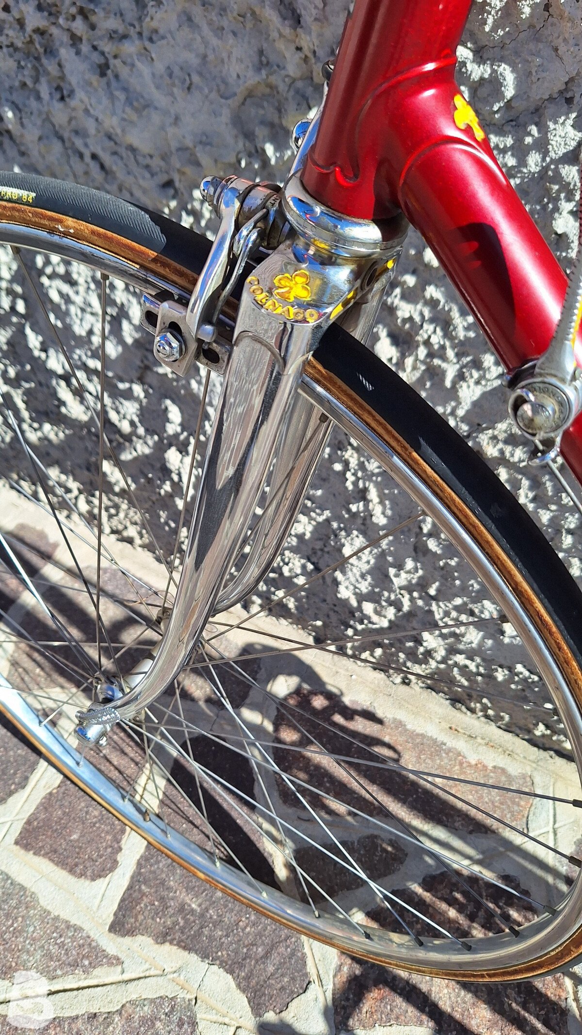 Colnago Super 1981