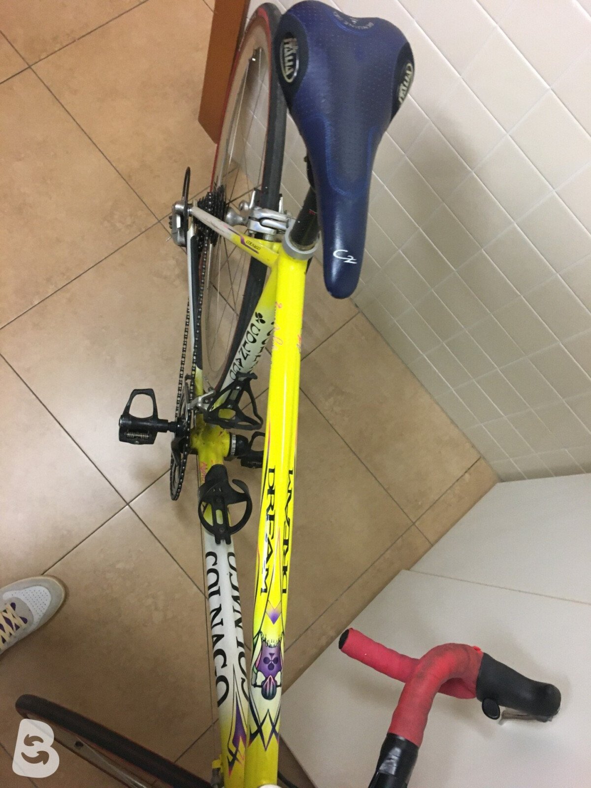 Colnago Dream art decor 2000