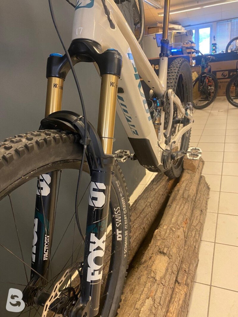 Pivot Shuttle AM 2024