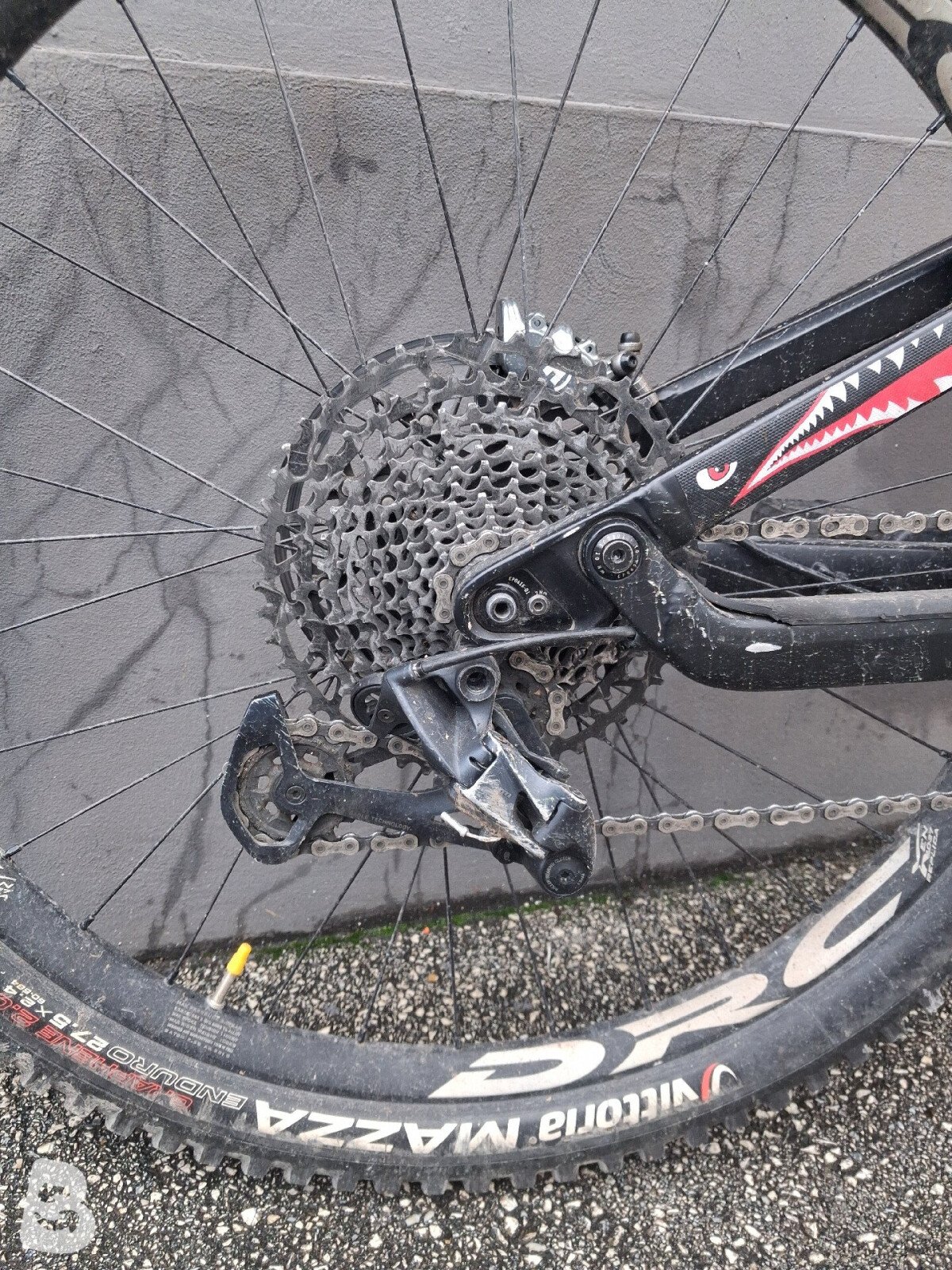 Canyon Torque AL 6.0 2020