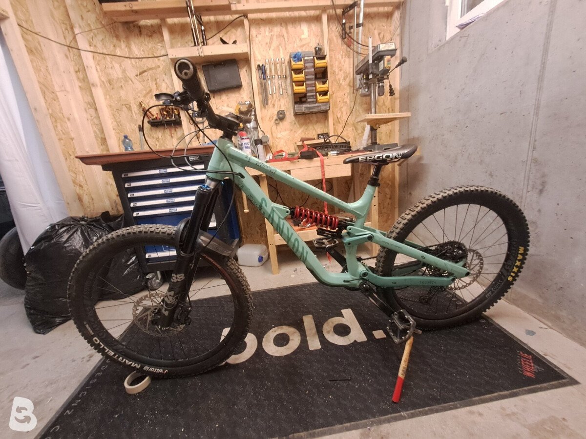Canyon Torque AL 6.0 2023