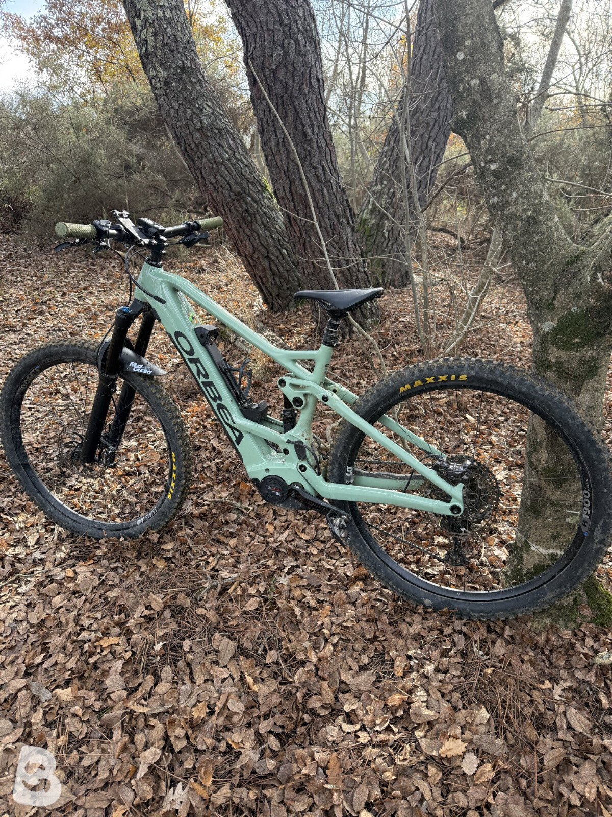 Orbea Wild FS H10 2020