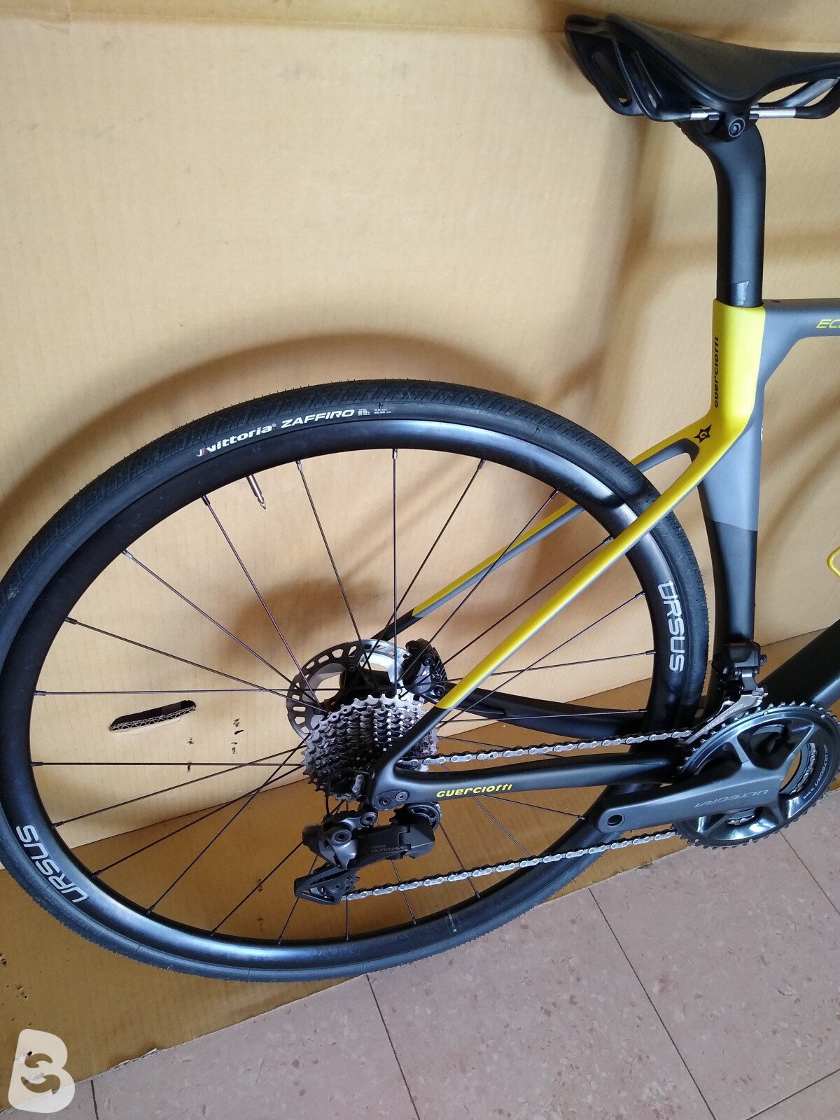 Guerciotti eclipse 2023