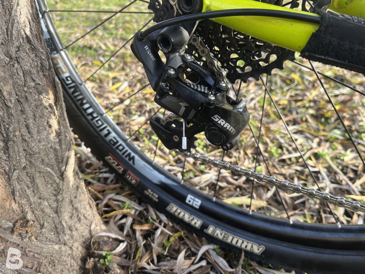 Niner sir 2015