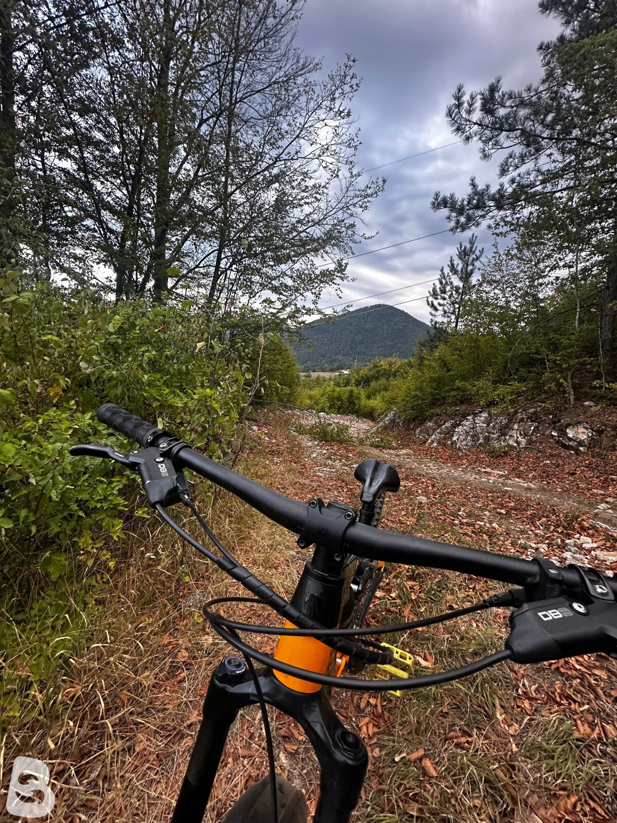 Trek Fuel EX 5 2023
