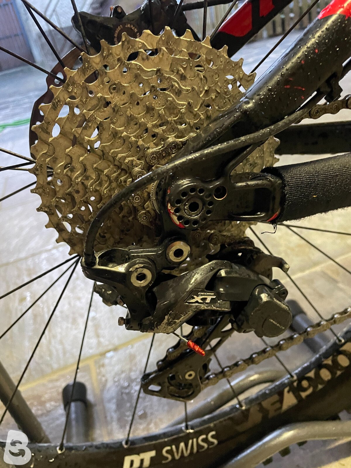 Niner wfo 9 2015