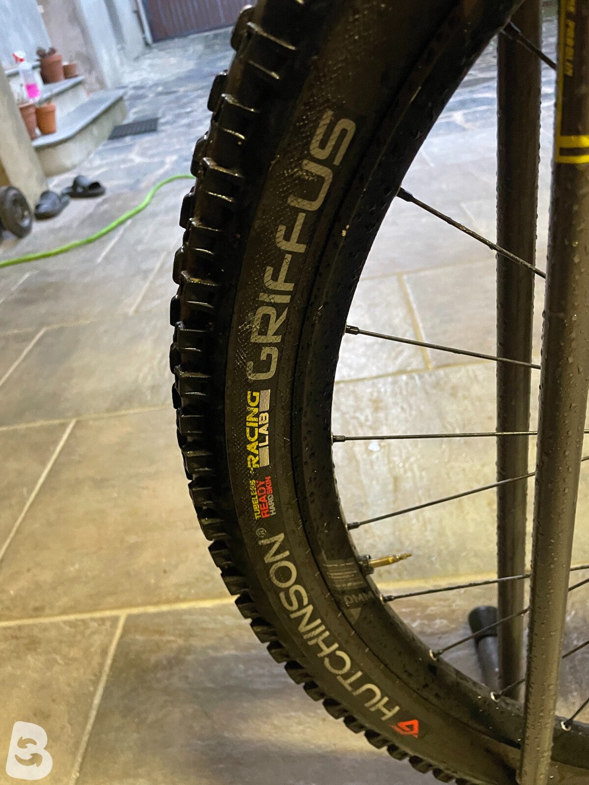 Niner wfo 9 2015