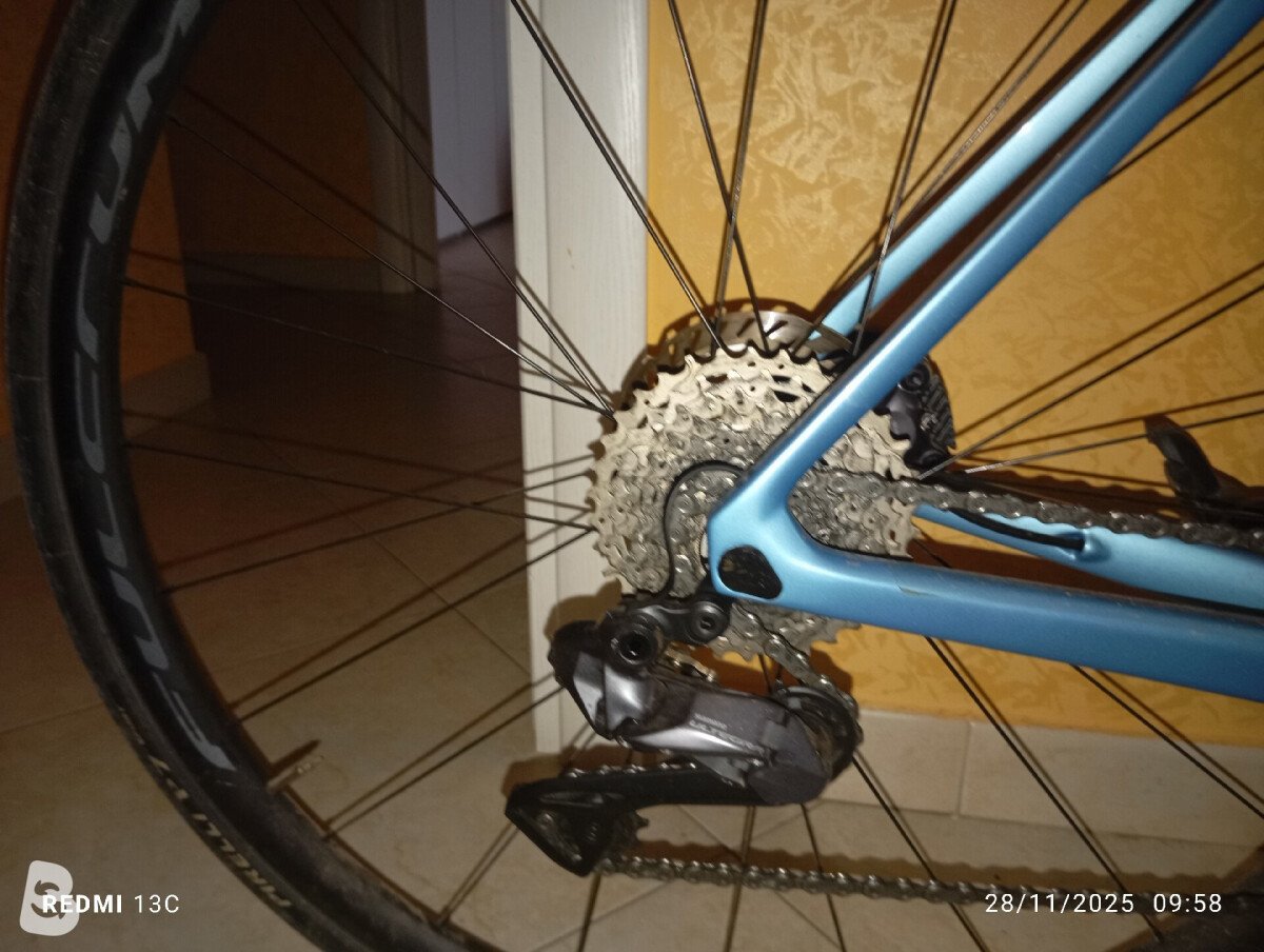Colnago V4 2025