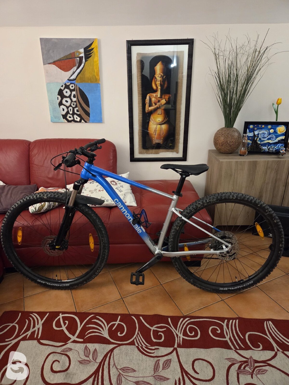 Cannondale Trail SE 4 2021