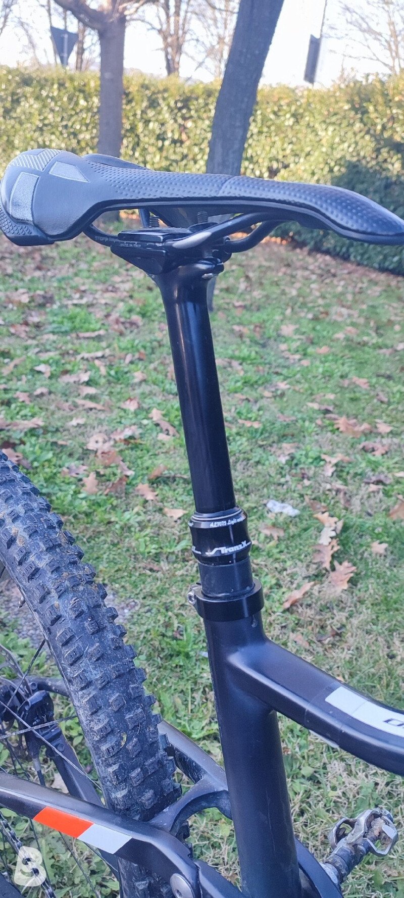 Olympia F1X 2019
