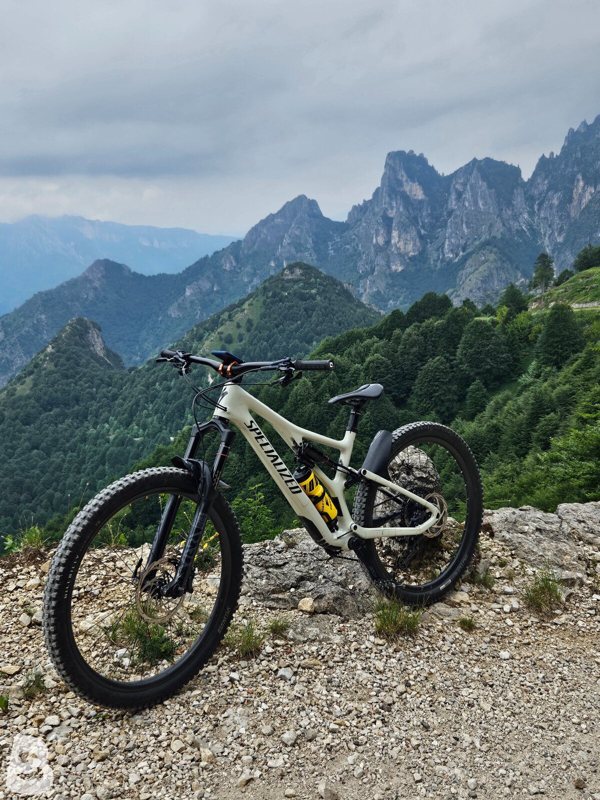 Specialized Stumpjumper Comp Carbon 2021