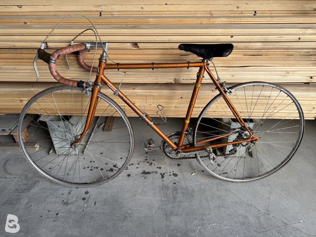 Adriatica Corsa