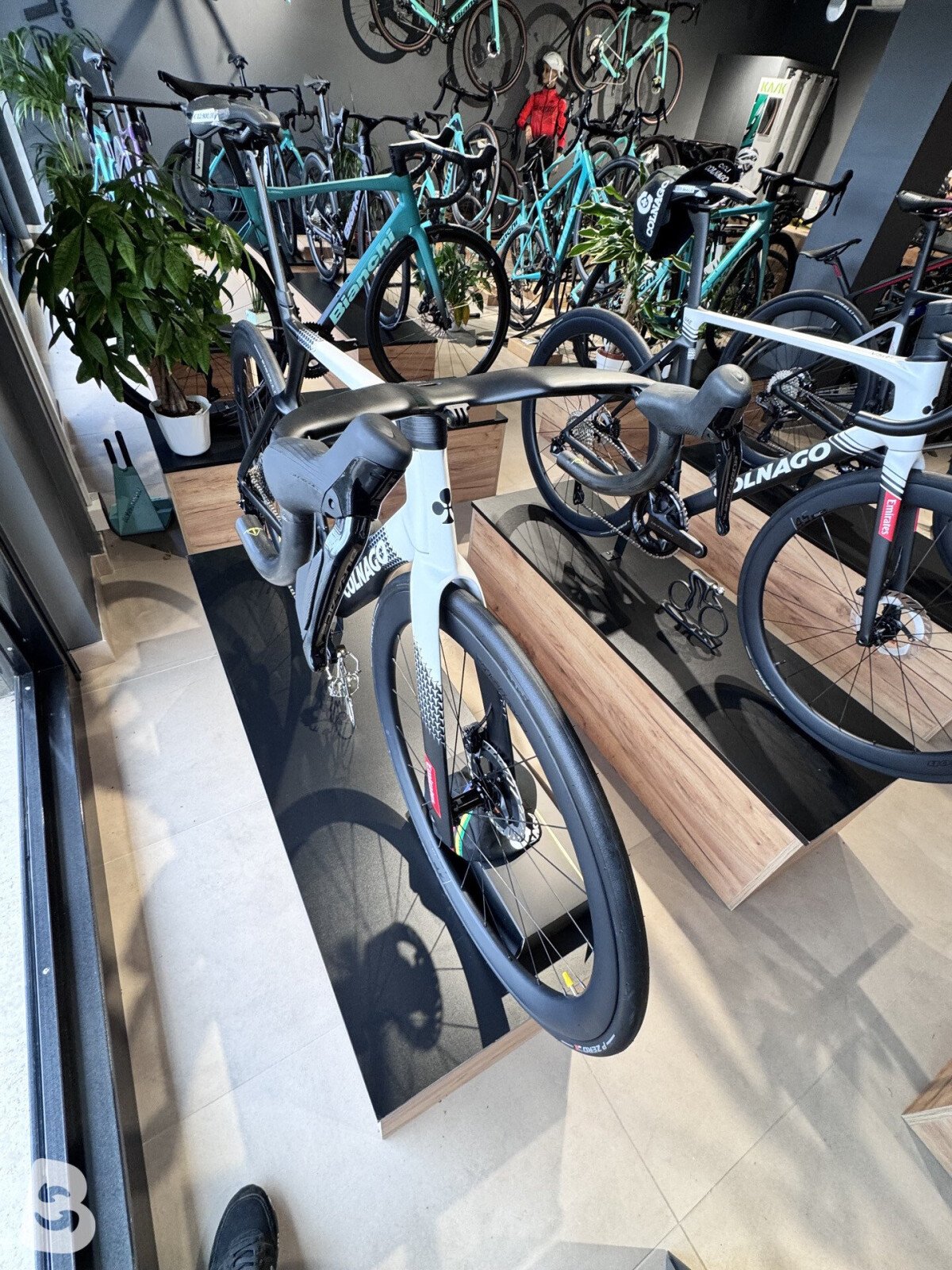 Colnago Y1rs 2025