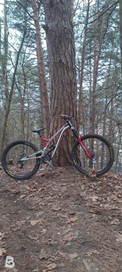 Commencal Supreme DH Team 2020