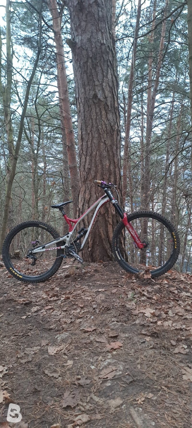 Commencal Supreme DH Team 2020