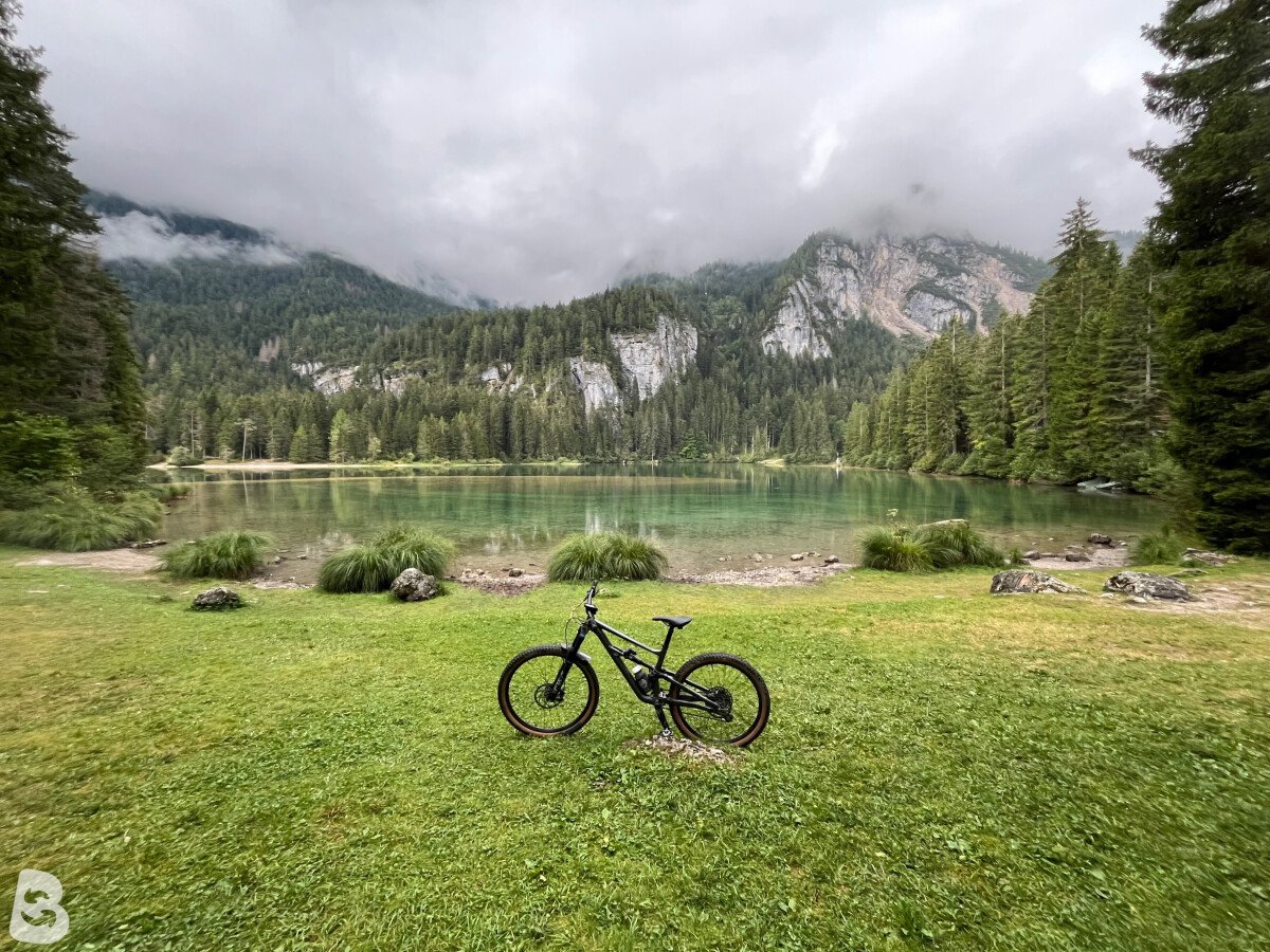 Specialized STATUS 2022