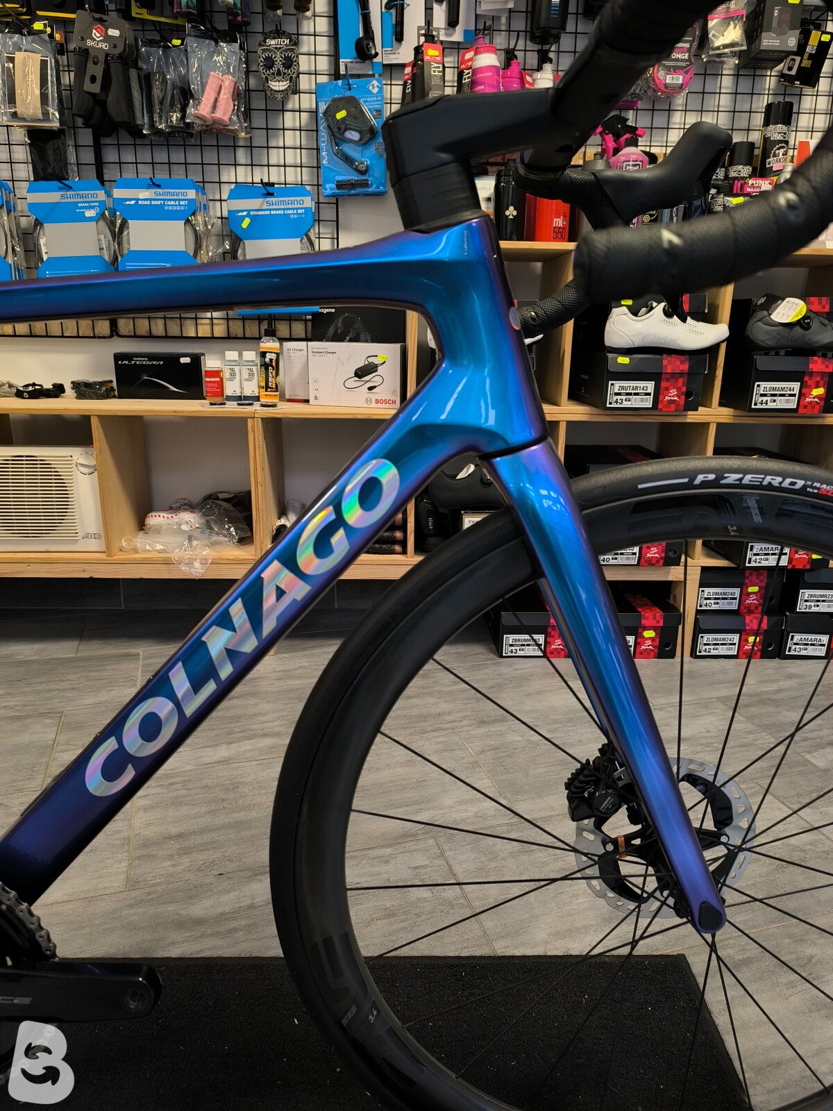 Colnago V4RS 2026