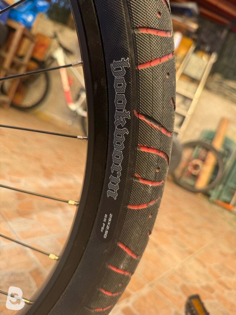 Collective Bikes LH 1 2025