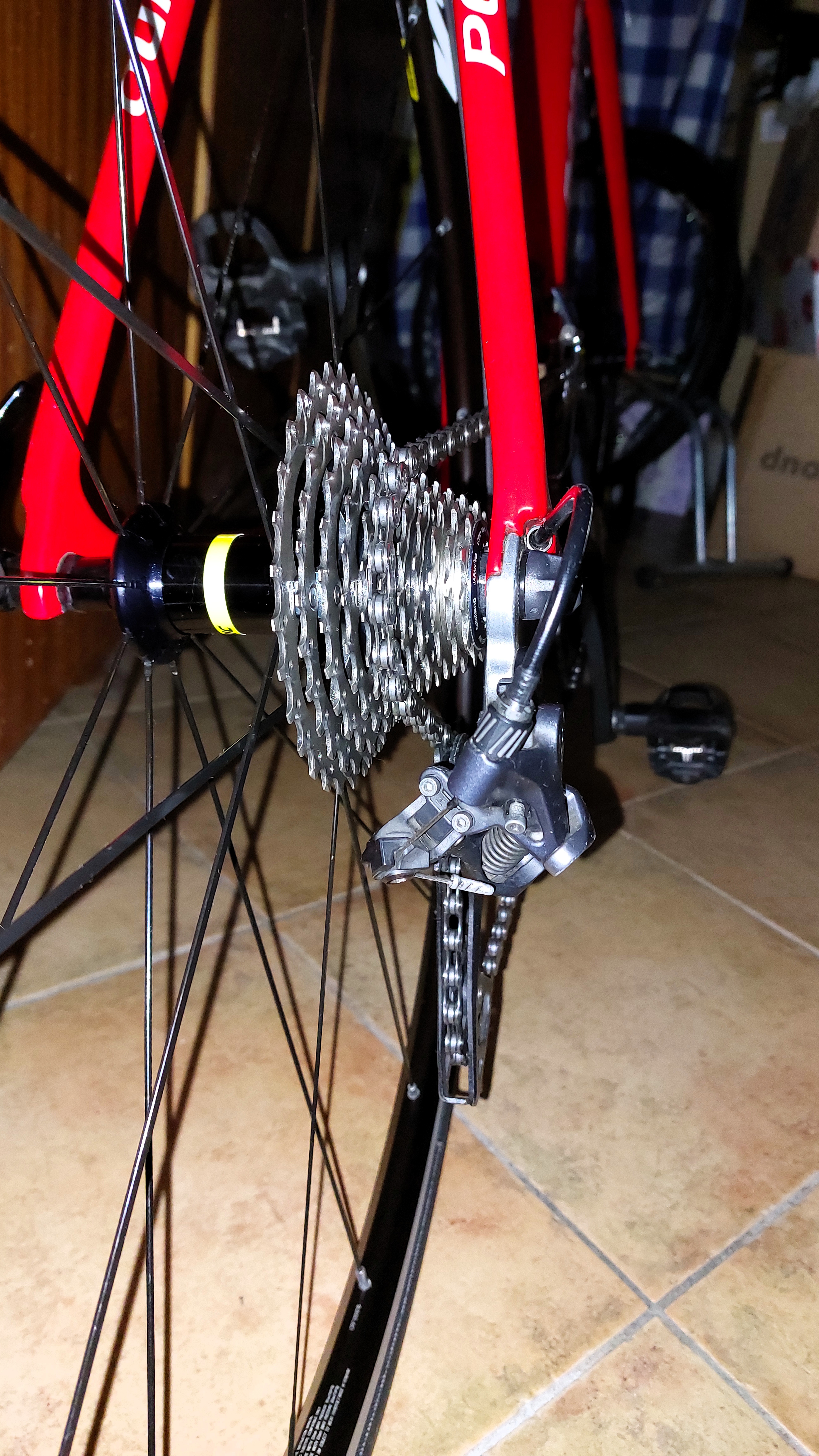 Pepino AXM31 2019