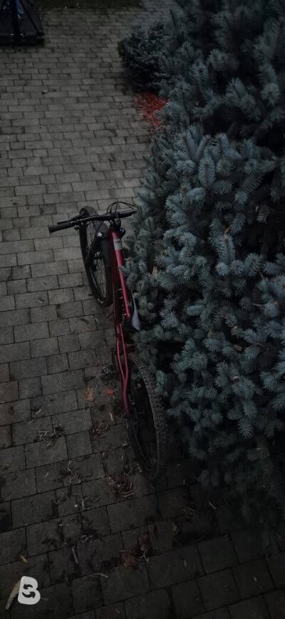 Merida one sixty 2024