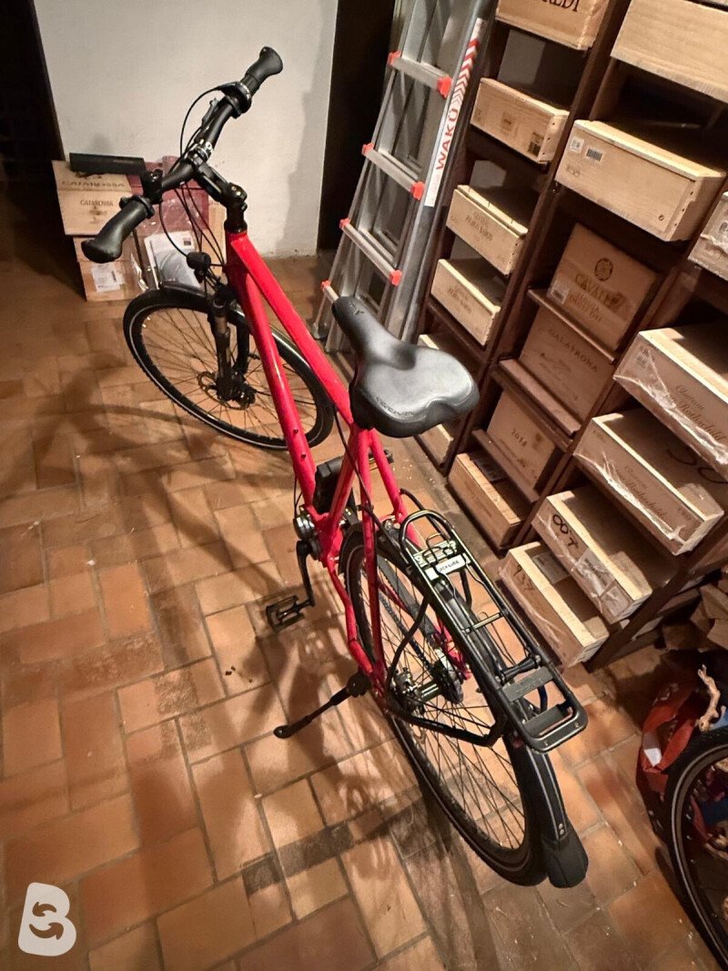 Gudereit LC-P 4.0 evo 2019