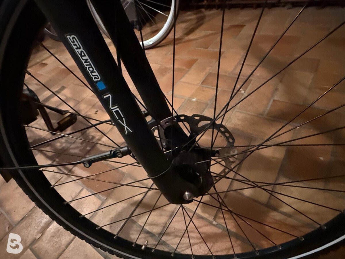 Gudereit LC-P 4.0 evo 2019