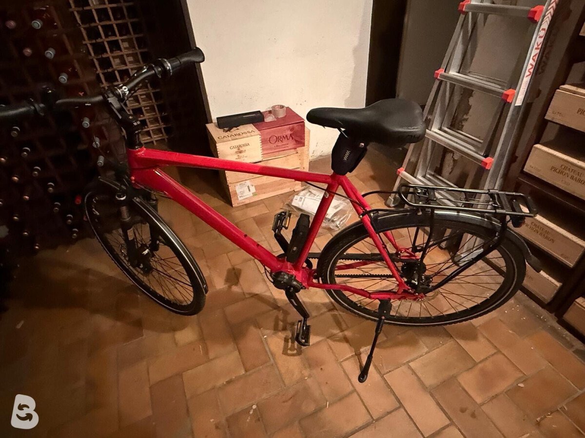 Gudereit LC-P 4.0 evo 2019