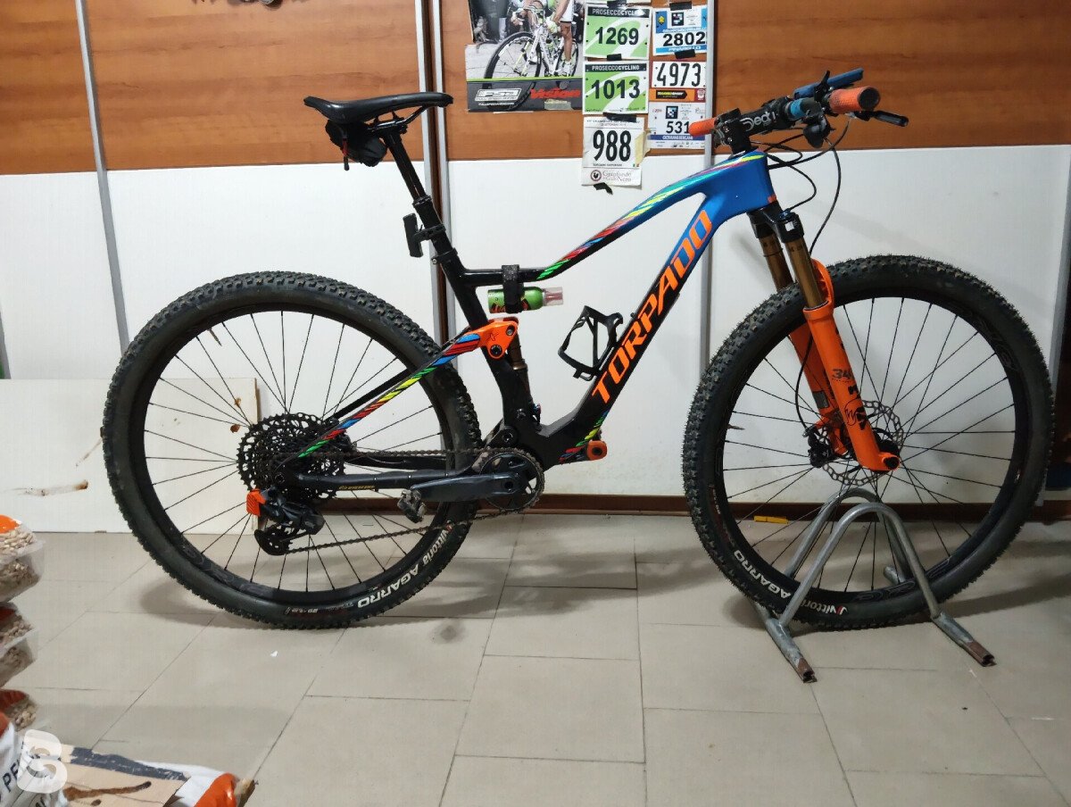Torpado Renero 2024