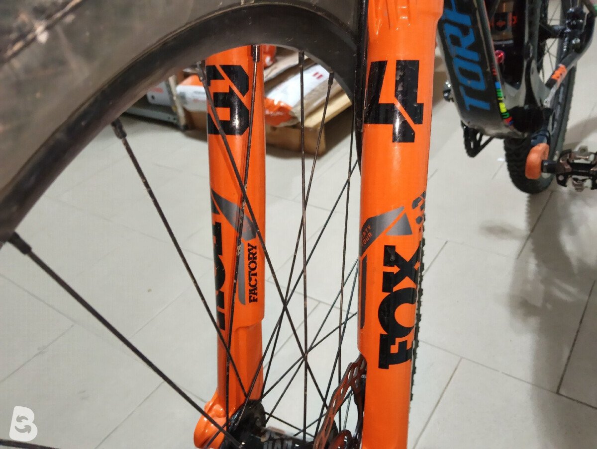 Torpado Renero 2024