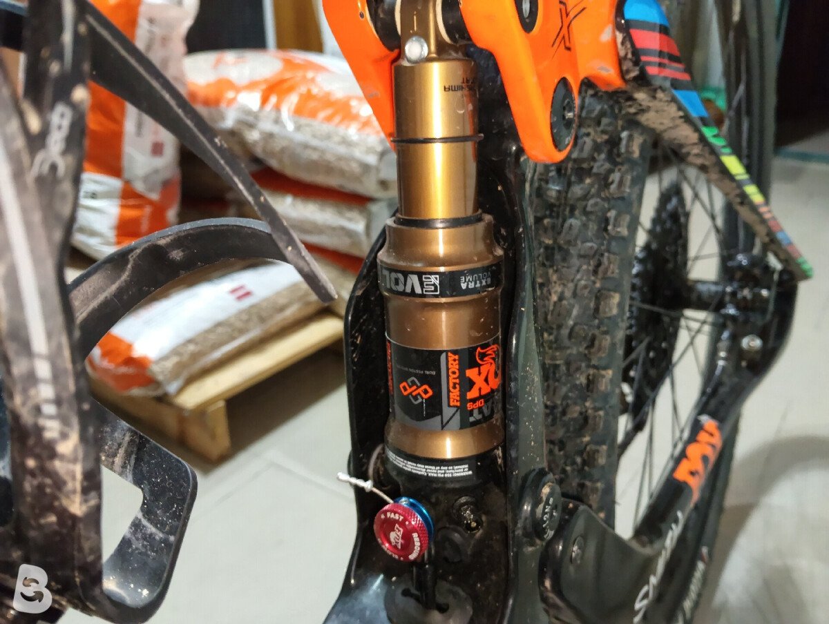 Torpado Renero 2024