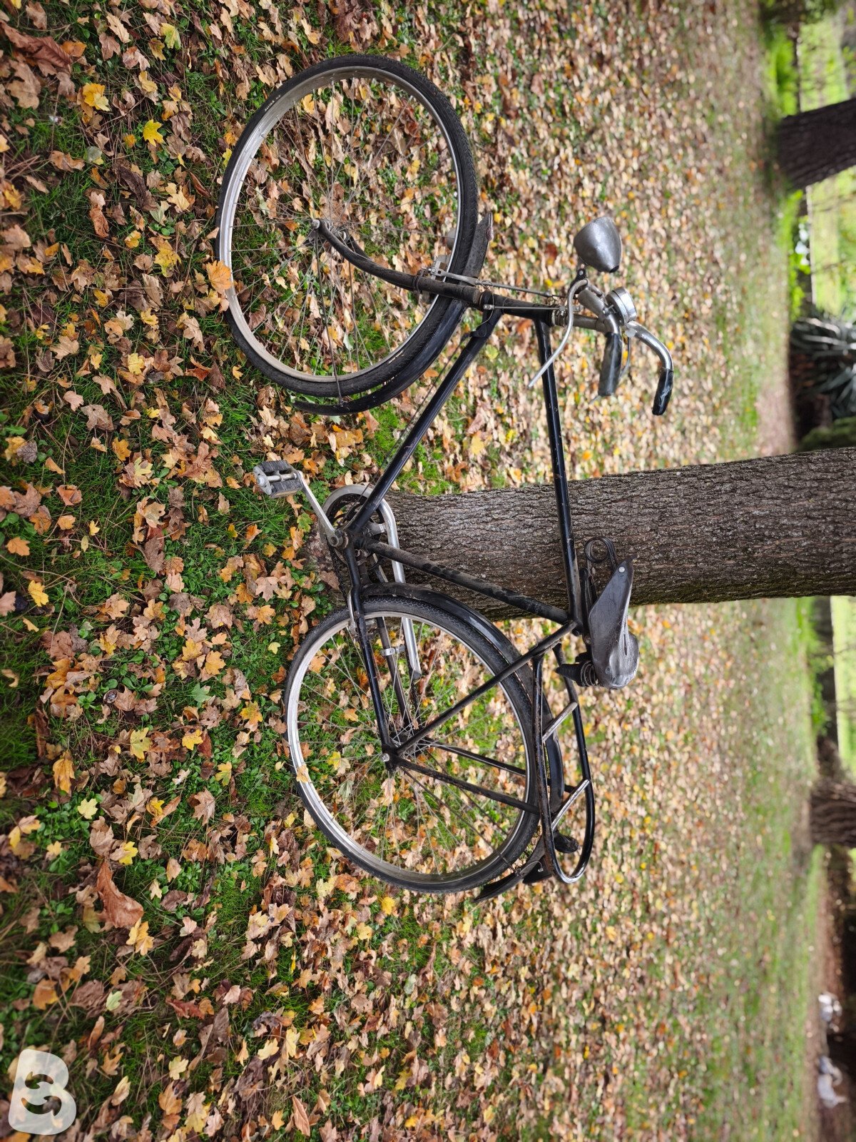 Vintage Bike Uomo 1947