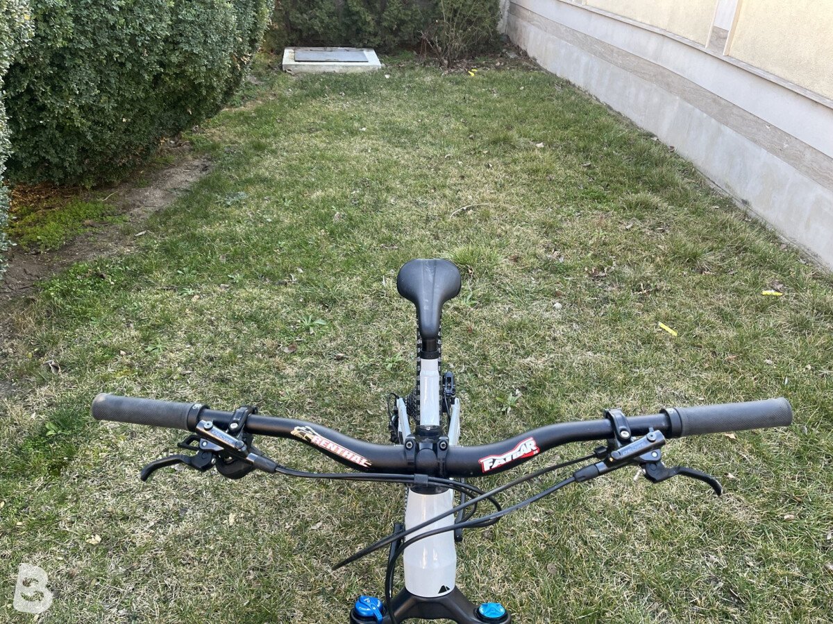 Canyon Spectral AL 6.0 2024