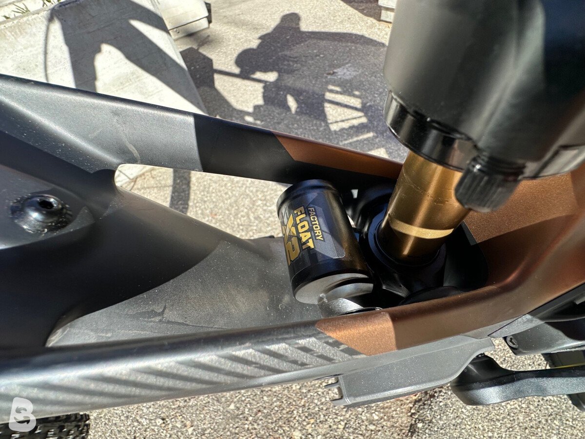 Orbea WILD M10 custom 2026