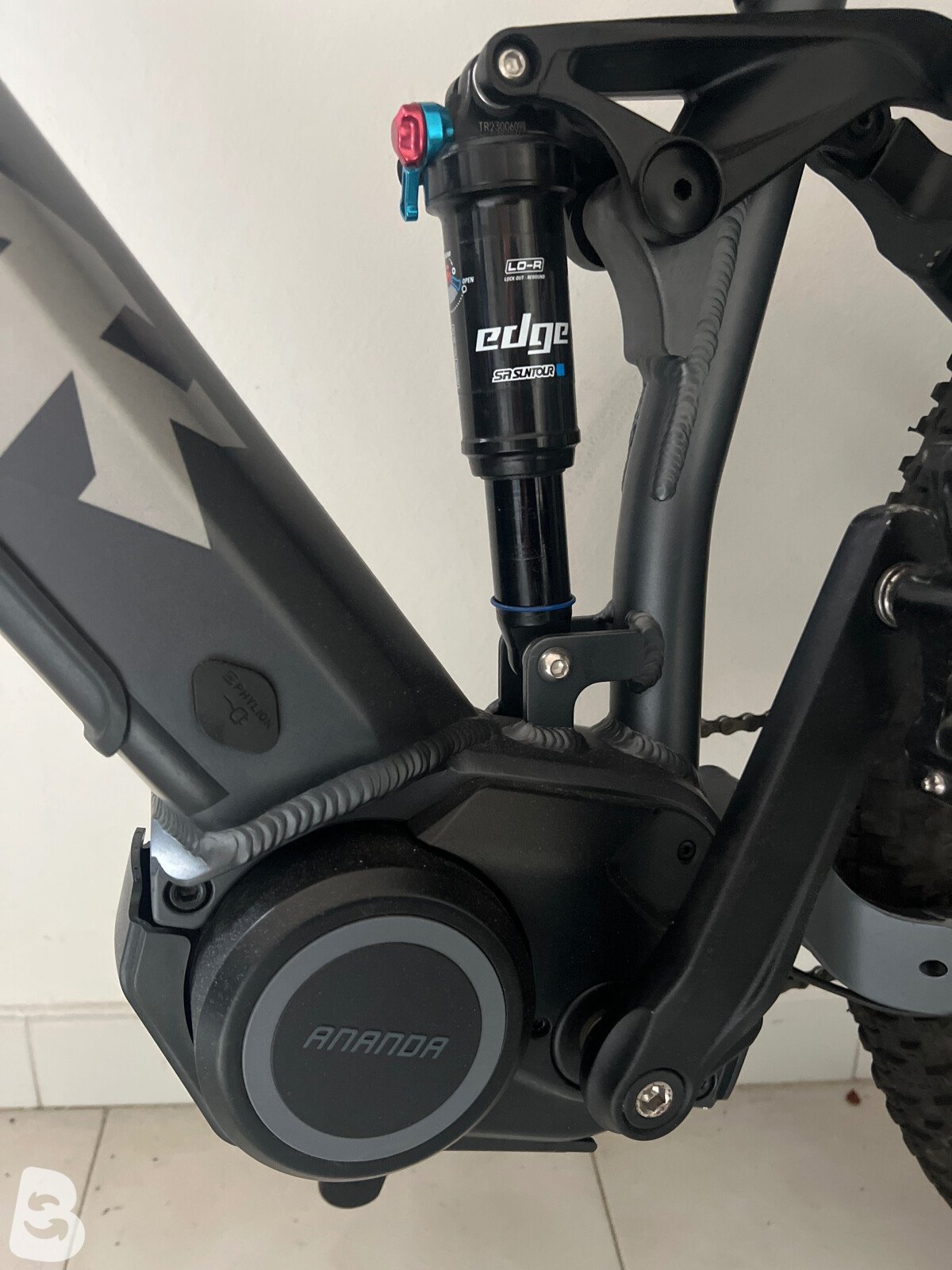 World Dimension Bike axer 2024