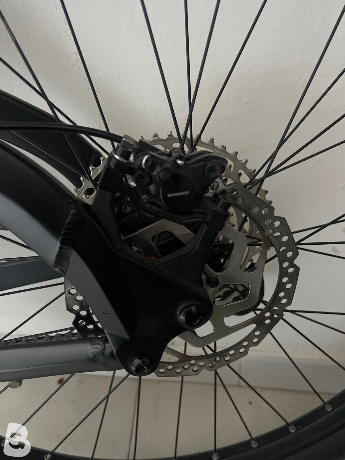 World Dimension Bike axer 2024