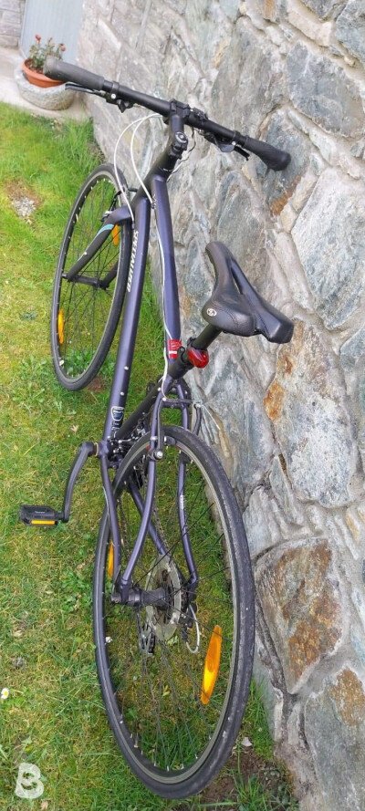Specialized vita 2017